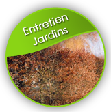 Entretien Jardins